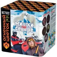 Салют Мишки на севере ОС7322 в Саках доставка Огненный Цветок