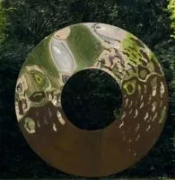 Уличный ДИЗАЙН — ЛИНЗА (519085) ∅ 1150 сталь AISI304 Саки 