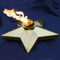 Звезда Ø 1100 - горелка ГВД 379 10 89 00 ПС (1636) в Саках