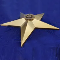 Звезда вечный огонь (1628) поставка комплект горелка ГВД 379 10 89 00 ПС ø 1100 мм. пустотелая  в Саках